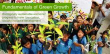 Fundamentals of Green Growth