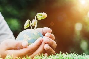 Introduction to Environmental Sustainability